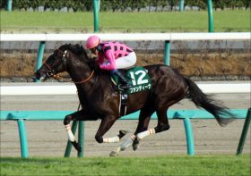 ファンディーナ引退……「皐月賞牝馬制覇」期待させた才媛の短すぎた春