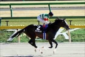 【みやこS（G3）展望】怪物エピカリス復活を確信!? 入手した「現場情報」に関係者は太鼓判！