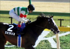 エピカリスはドバイで「もっとも勝てそうな馬」!? 強烈ライバルたちとUAEダービーで激突