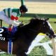エピカリスは何故ベルモントS(G1)を選んだのか? 米国主催「日本馬だけ」ボーナス100万ドル!? 米国の競争原理が生んだ露骨「接待」の背景