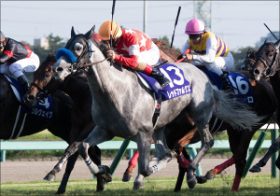 レッドファルクスならば休み明けでも関係なし！ 生粋の「名古屋男子」兼「二刀流」は、仮に高松宮記念が「ダートG1」だとしても勝機アリ？