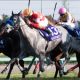 高松宮記念(G1)「香港馬」ブリザードを侮ることなかれ!? 課題の左回りを克服できる「2つの理由」と関東地方を襲った季節外れの”サイン”