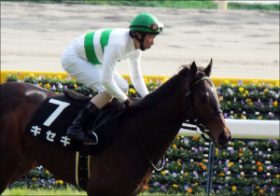 キセキ「皮膚病」で大ピンチか……世界王者ハイランドリールとの決戦に黄信号？