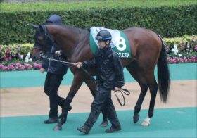 新天地で「再ブレーク」ロードクエストにまさかの「ハプニング」!?パートナーがピンチを脱出した仰天プラン