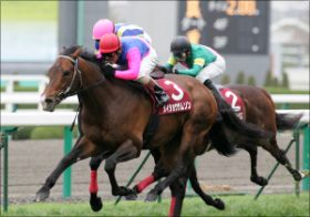 「キタサンブラックはイマイチ」「アンビシャスは期待以下」鈴木和幸が見極めた全14頭の状態。大阪杯出走馬の最終追い切り診断公開中！