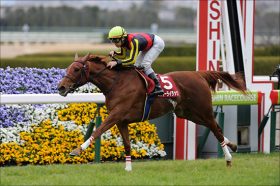 桜花賞（G1）ラッキーライラックの扱いは？ 「関係者裏情報」4頭で好配当ゲット