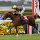 JRA「牝馬三冠」確実? アーモンドアイ桜花賞「超絶豪脚」に見える歴史的名牝たちの影