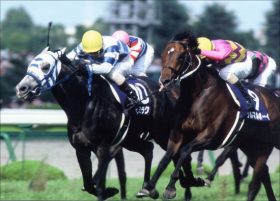 宝塚記念（G1）ついに「史上最悪」確定か……スワーヴリチャード回避決定で「伸び盛りゼロ」のお寒い実状