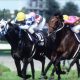 宝塚記念(G1)ファン投票「最終結果」の行方は? 「キタサンブラック・ロス」でスターホース不在の深刻度