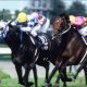 帝王賞(G1)「武豊」から究極「1点」勝負で余裕!? 好配当を呼び込む「超勝負馬」へ熱視線!!