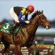 皐月賞(G1)ワグネリアンはイマイチ? 競馬女王・桃井はるこが見出す「最強馬」で混戦両断!?