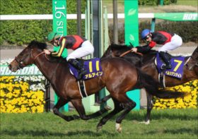 サトノダイヤモンド天皇賞・春も安泰!?　皐月賞ワンツーを決めた池江泰寿厩舎の「マジック」は変幻自在の適応力にあり