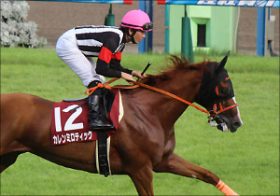 キタサンブラックのライバル・”京都巧者”が無念の回避!! 今後は現役続行か、引退か……