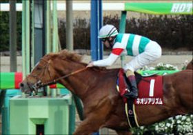 天皇賞・秋（G1）ネオリアリズム鞍上に「世界のムーア騎手」来日せず落胆の声……「中山の鬼」A.シュタルケ騎手の「東京実績」は？