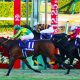 宝塚記念(G1)福永祐一と大魔神「和解」の裏にアノ大物の心情!? 女傑ヴィブロスに課せられた「勝ち負け以上に重要」な使命とは