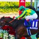 【ジャパンC(G1)展望】武豊「完全復活」でキタサンブラックの連覇なるか!? 宿敵サトノクラウンの「鞍上」は?