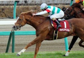 ネオリアリズムの札幌記念回避に大きな波紋 「人為的なミス」発覚で「損害賠償」を求める声も……？