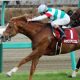JRA入り「超本気」モレイラ騎手の菊花賞(G1)はアノ馬!? 初の秋競馬参戦「神業スケジュール」でG1勝ちまくり?