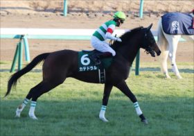 JRA栗東関係者「NHKマイルC（G1）耳より情報」大公開！　グランアレグリアの偉業を阻むのは……