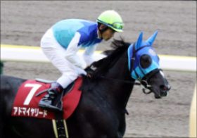 ヴィクトリアマイル（G1）もデムーロと「アドマイヤ娘」で決まり？ 「連覇」十分アドマイヤリードの急上昇