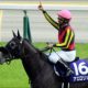 JRA戸崎圭太「空き巣王」→G1戦線で大活躍の秘密とは……2年ぶりリーディングもまだ可能な「理由」