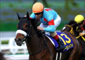 【オークス（G1）枠順確定】アーモンドアイ、ラッキーライラック再戦、注目の枠順は
