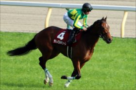 オークス（G1）サトノワルキューレは「ドゥラメンテ級」!? M.デムーロ絶賛の「第3の刺客」が持つ、大本命アーモンドアイにはない「強味」とは