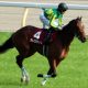 JRA川田将雅「思い切り」でオークス(G1)リリーノーブル一気の戴冠も? 「悪癖」を受け入れて……