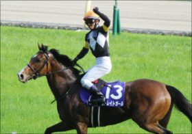 戸崎圭太騎手、今年もトップ騎手に向けて余念なし!!　4年連続リーディングジョッキーへ視界良好の理由