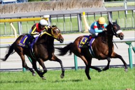 JRAジャパンC池添「ブチ切れ騒動」から6年。歴代最強牝馬アーモンドアイが「疑惑」の決着を経て挑戦する意義