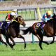 JRA「馬主の執念」ニシノデイジーに「血のドラマあり」クラシックに向けて勝浦正樹騎手も饒舌に