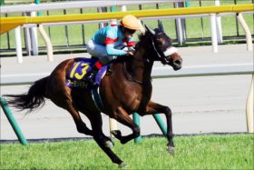 JRA「26年」ぶり？ 8冠目指す最強女王アーモンドアイの安田記念（G1）出走で再現の可能性が出て来た超レアな記録とは