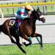 JRA 好調・横山典弘騎手に「玉砕」指令!? 安田記念(G1)ノームコア池谷誠一オーナーから粋なエール