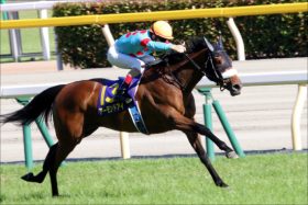 JRA「すでに最強」アーモンドアイはジャパンCで勝てる理由……「圧倒的好条件」と「ライバル最初から消滅」