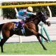 JRA武豊「絶賛」メイケイエールVS「規格外」の九州産馬ヨカヨカの無敗対決! メイショウマンボの初仔メイショウイチヒメも参戦!【ファンタジーS展望(G3)】