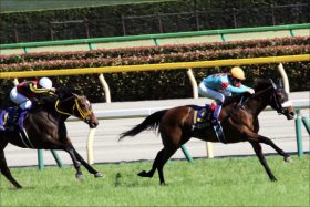 JRA秋華賞（G1）アーモンドアイ「呪い」で三冠確実!?「時代」に選ばれた国民的「英雄」ディープインパクト”怪奇”の再来