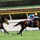 JRAデムーロ「謎の抽選馬選択」に憶測!? 秋華賞「抽選に自信」「空きがない」500万下圧勝馬を選んだ理由