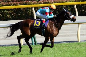 JRA「牝馬3冠」国枝栄調教師の苦悩……アーモンドアイの大成功も素直に喜べない「現代版・牧場巡り」の実態とは