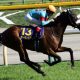 JRA美浦記者の「推し馬」エリ女で大器レッドジェノヴァと堅実フロンテアクイーンの状態は……