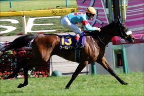 JRAジャパンC（G1）「1枠1番」アーモンドアイが大不安!? 2連勝中もジェンティルドンナの”悪夢”再来の予感