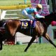 JRA「年度代表馬」アーモンドアイ当確でロードカナロア時代!? 2019年種付け料ほぼ「倍増」1500万円も大人気
