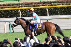 JRA「3冠＋JCへ」アーモンドアイ最強ローテ決定!? 「条件通過濃厚」で浮上する「ルメール問題」も