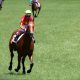 【京阪杯(G3)展望】前走からの巻き返しを狙うアレスバローズ!夏のスプリント重賞2連勝の実力を示せるか?