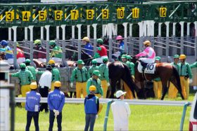 安田記念（G1）JRA栗東関係者「絶賛」の2頭で決まりか……ハイレベル混戦を断つのはやはり……