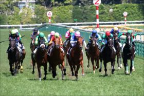【アイビスサマーダッシュ（G3）展望】JRA・新潟名物の“千直”重賞！　超新星ライオンボスが古豪たちをねじ伏せる!?