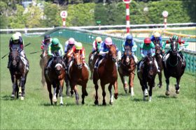 JRA藤沢和雄調教師「安田記念3頭回避」の謎。「ルメールLOVE」ではない狙いが？