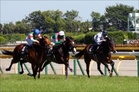 JRA最強ノーザンファーム「エース」が登場！ 母はケンタッキーオークス馬「超大物」ディープインパクト産駒出陣！