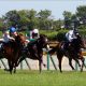 【中京記念（G3）展望】超速グレーターロンドンVS夏馬ウインガニオン!? 熾烈なマイルシリーズ王者に名乗りを上げるのは？