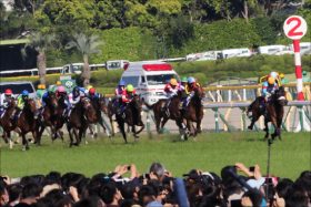 【安田記念（G1）枠順】スワーヴリチャード、ペルシアンナイト、サングレーザーなど注目の枠順は