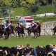 安田記念(G1)JRA栗東関係者「絶賛」の2頭で決まりか……ハイレベル混戦を断つのはやはり……